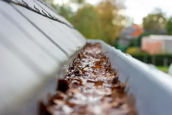 Gutter Service